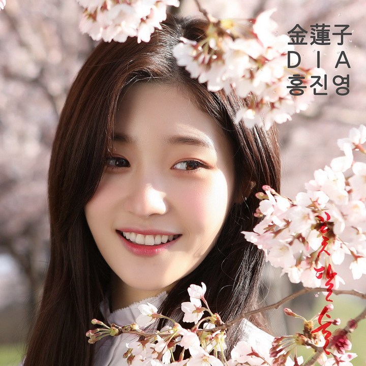 Album cover art for "꽃,달,술 (you are my flower)" by Hong Jin Young (홍진영)
