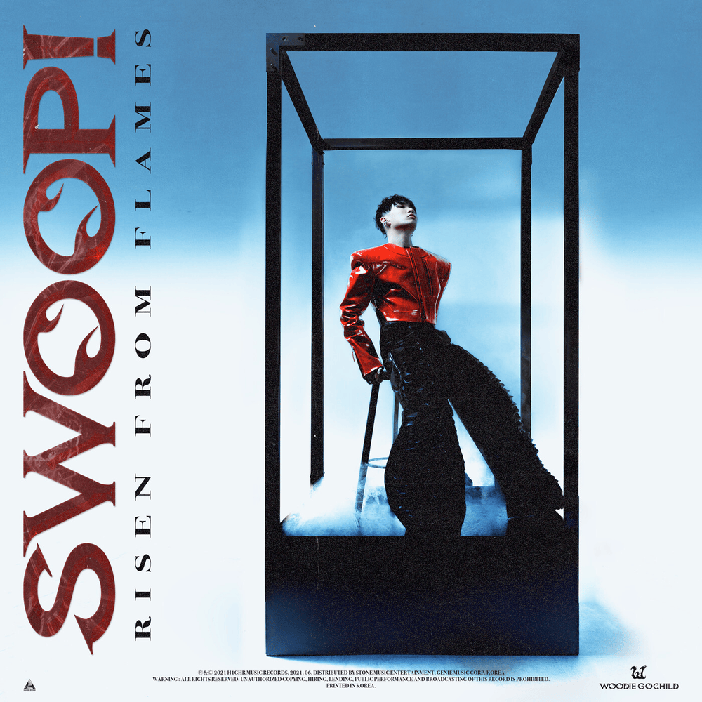 Cover image for SWOOP!