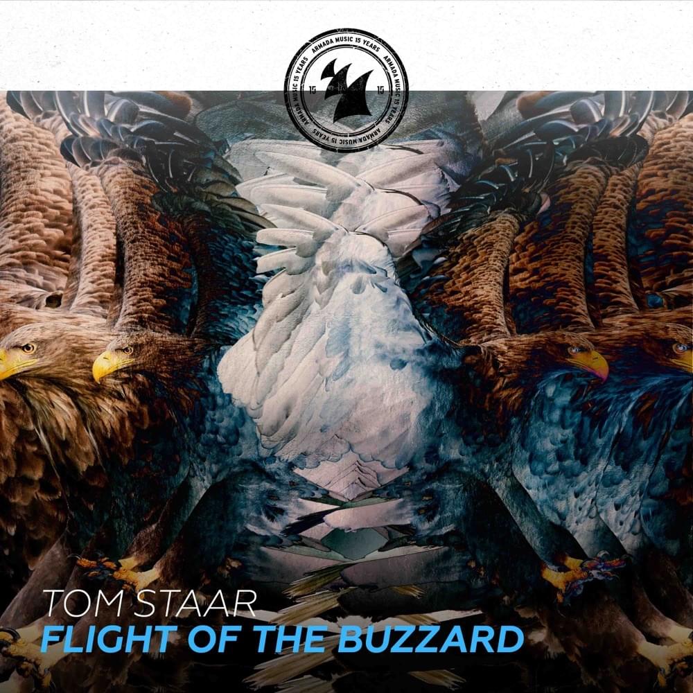 Flight Of The Buzzard by Tom Staar