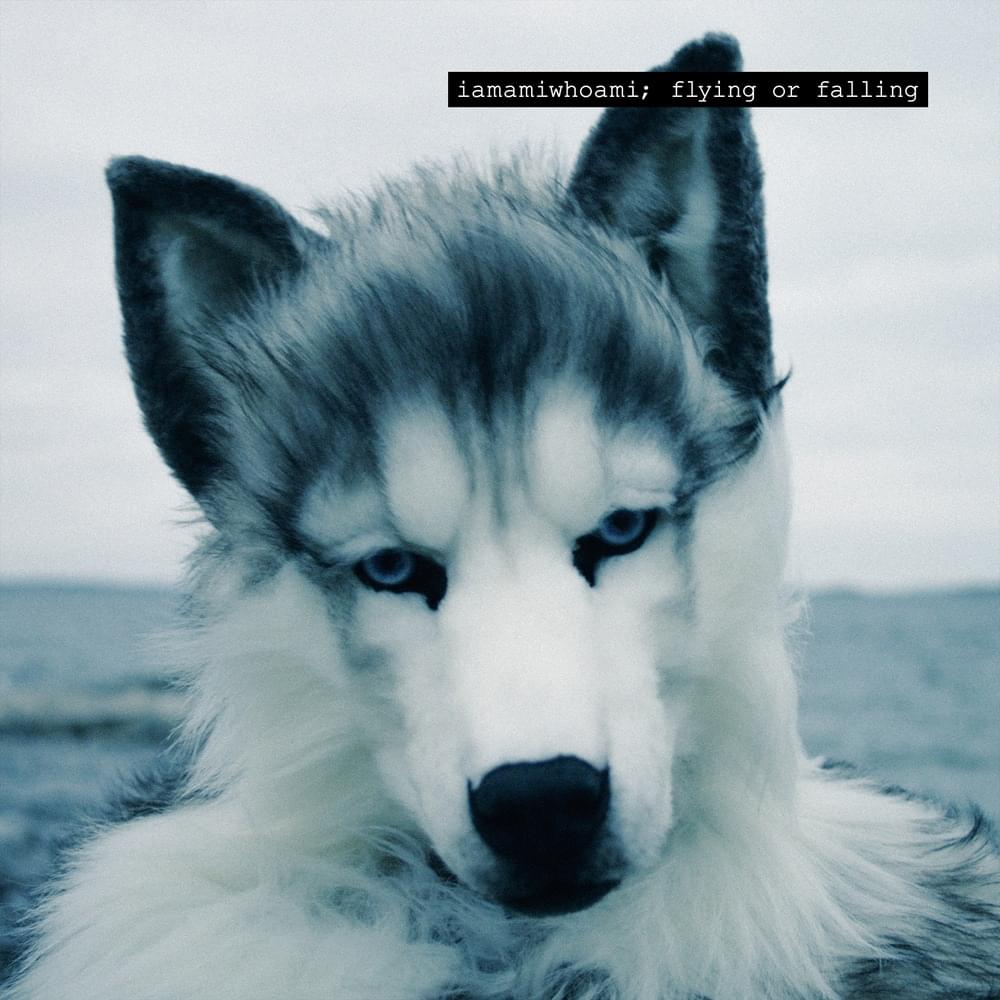 Album cover art for "flying or falling" by iamamiwhoami
