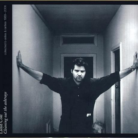 Album cover art for "Wild Orphan" by Lloyd Cole