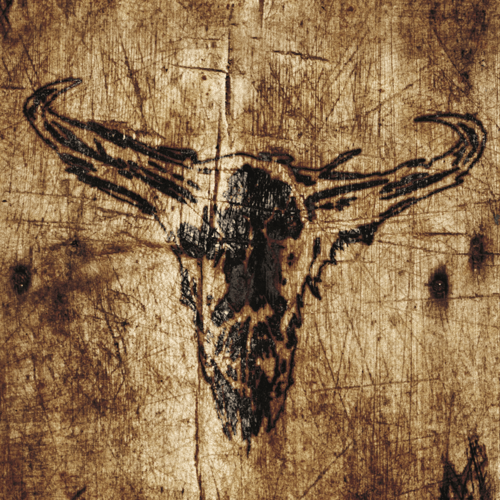 Cover image for Southern Hostility