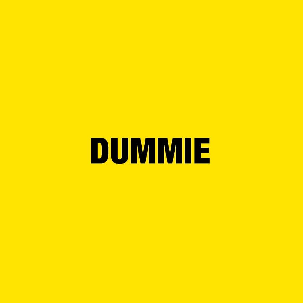 Cover image for DUMMIE