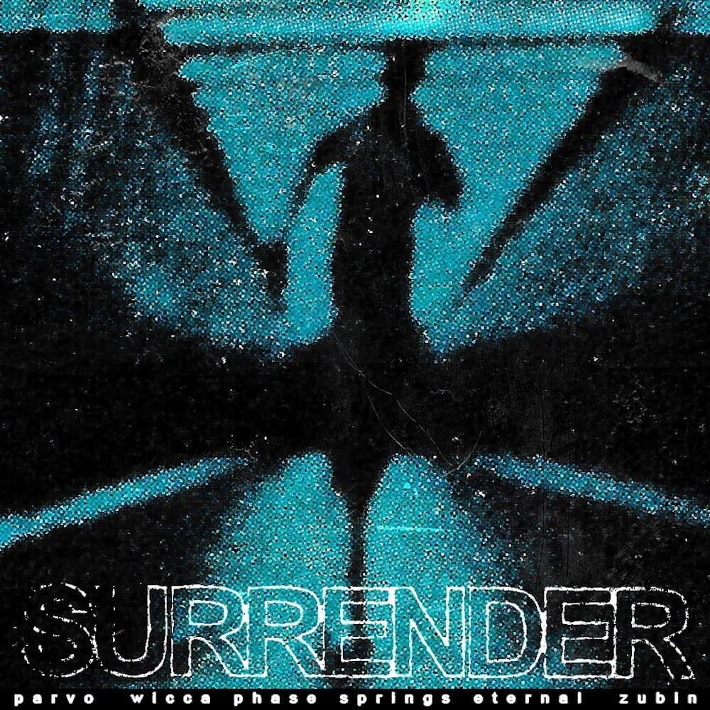 Cover image for Surrender