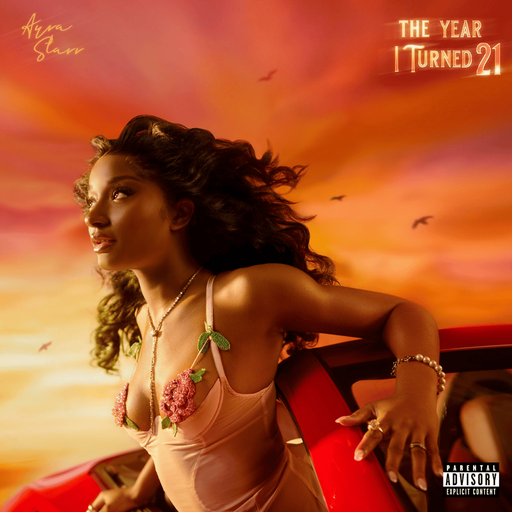Cover image for The Year I Turned 21