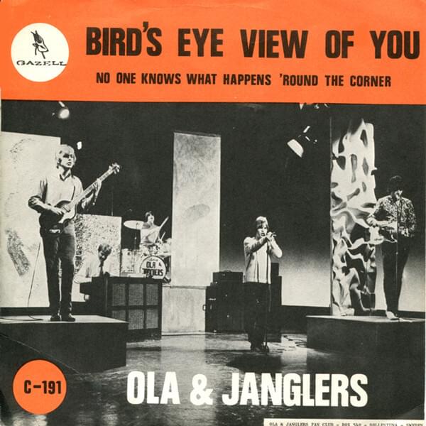 Album cover art for "Bird’s Eye View of You" by Ola & the janglers
