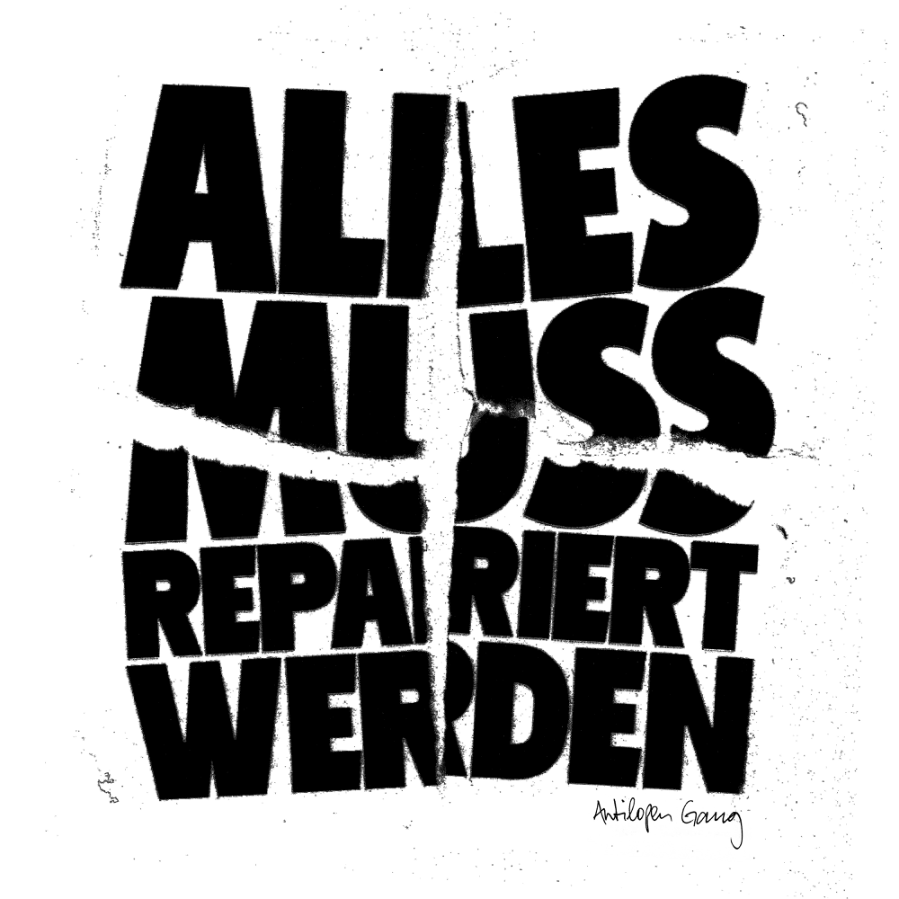 Cover image for Alles muss repariert werden