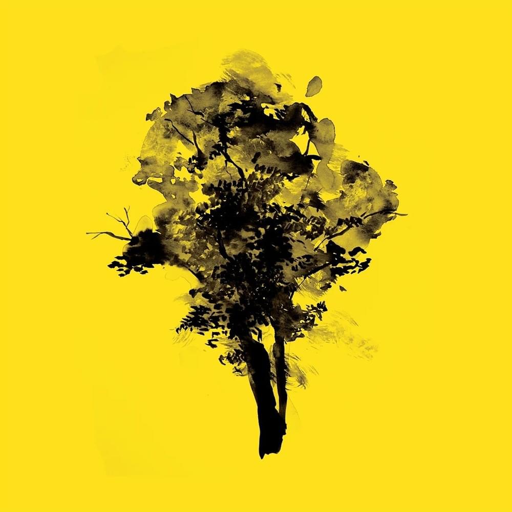 Album cover art for "Sycamore" by Ed Sheeran