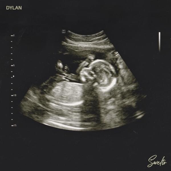 Album cover art for "Dylan" by Swelto