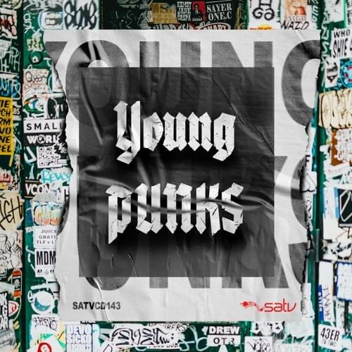 Cover image for Young Punks