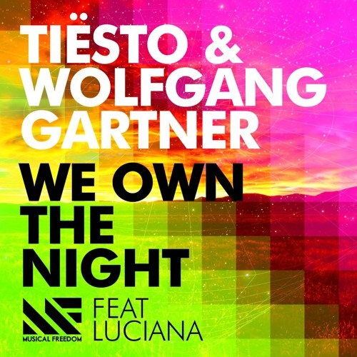 Album cover art for "We Own The Night" by Tiësto & Luciana