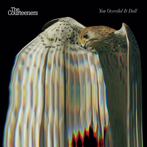 Cover image for You Overdid It Doll
