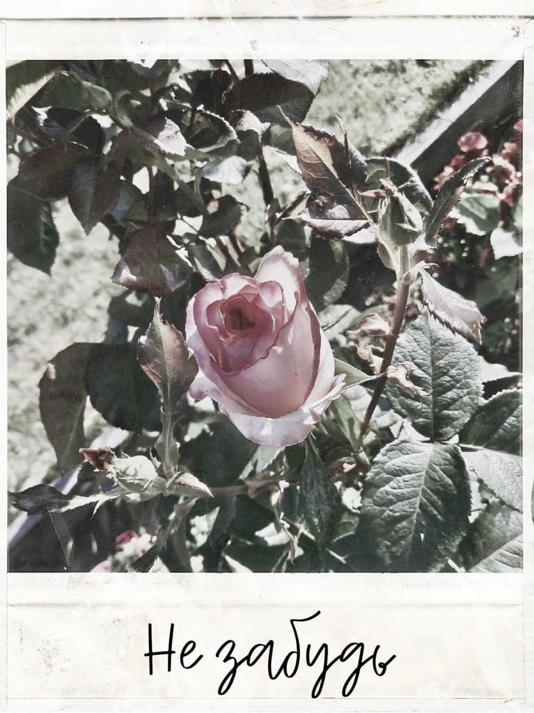 Album cover art for "Не забудь (Do not forget)" by deveffie
