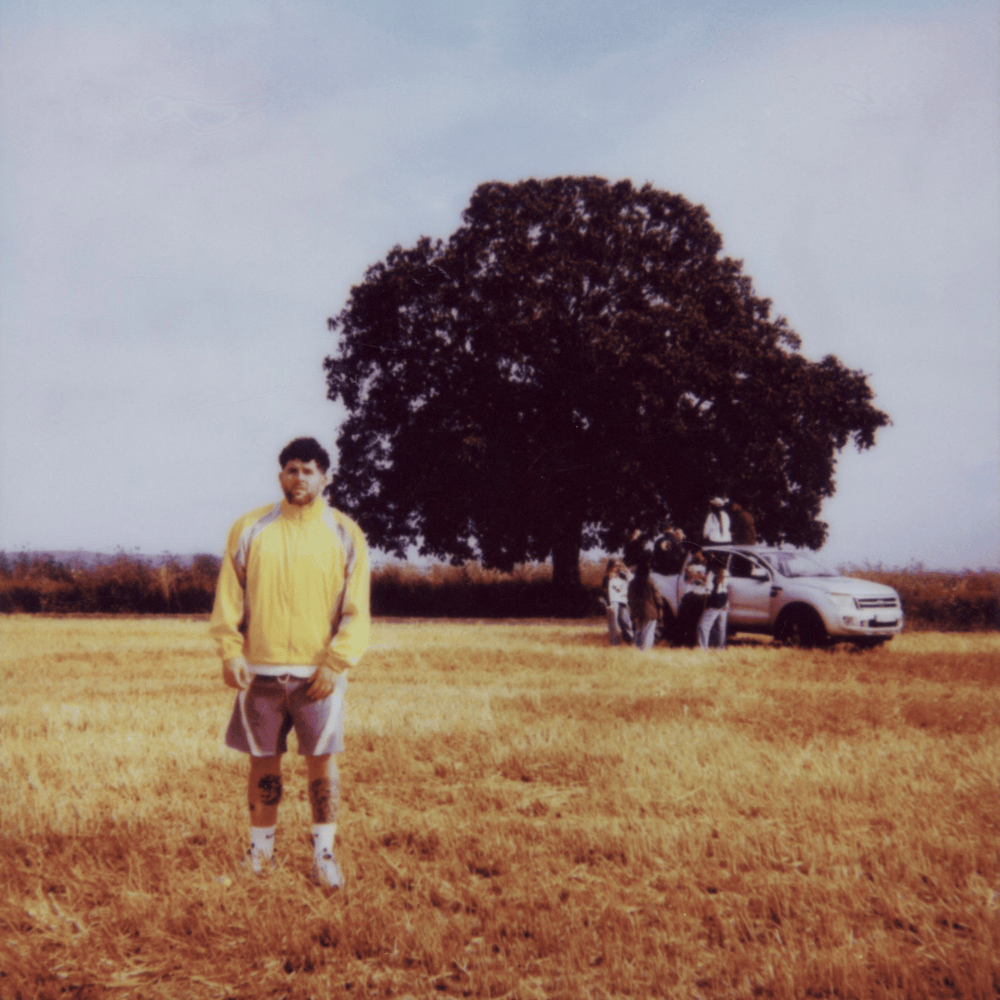 Album cover art for "Überlebt" by Vega