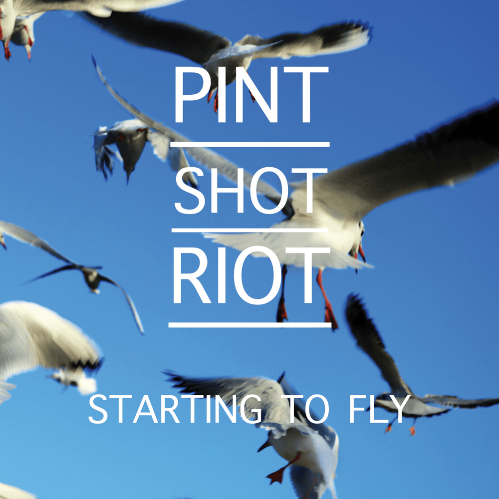 Starting To Fly by Pint Shot Riot