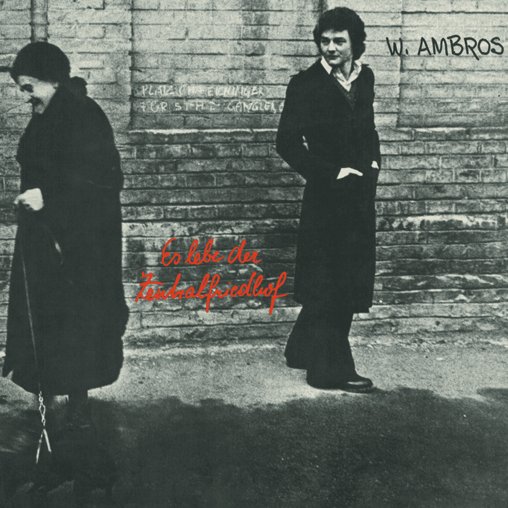 Album cover art for "Gö, da schaust (Instrumental)" by Wolfgang Ambros