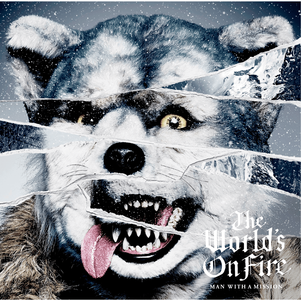 Cover image for The World’s on Fire