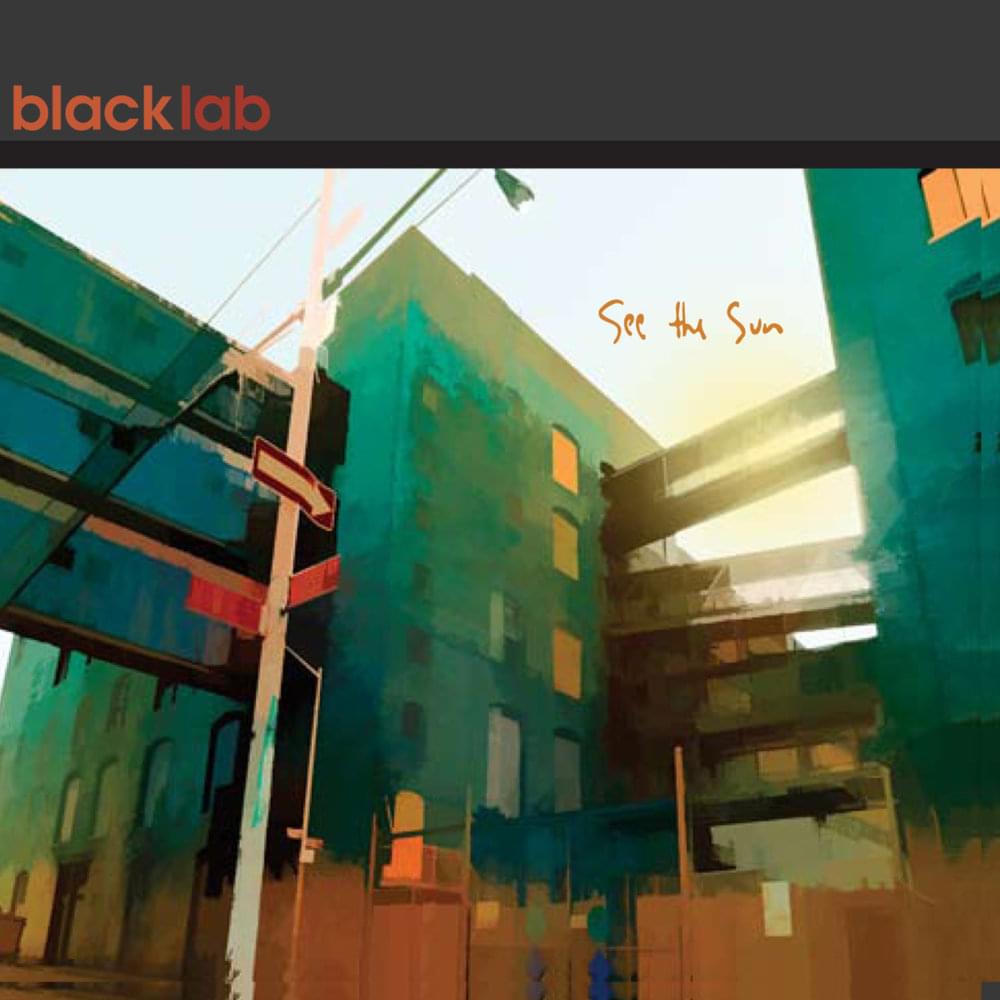 Album cover art for "See the Sun" by Black Lab