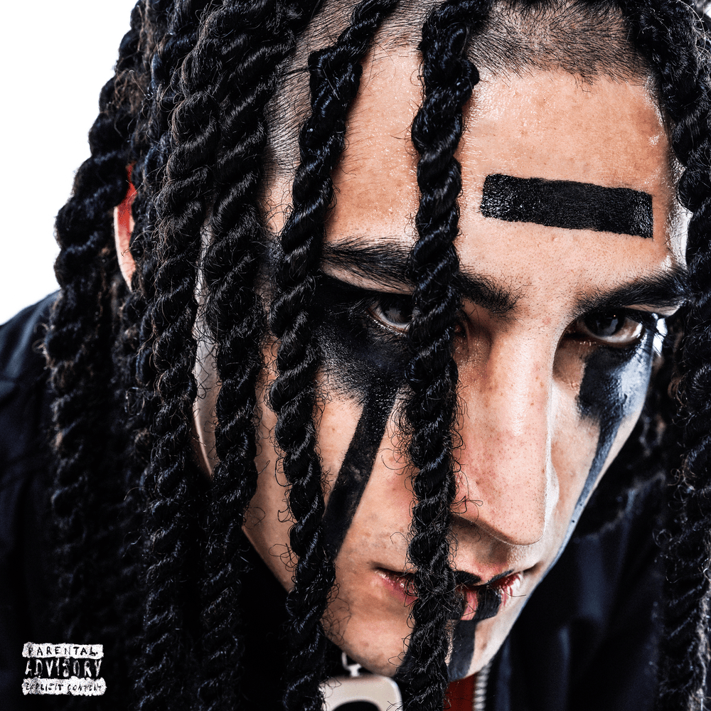 Cover image for REVENGE