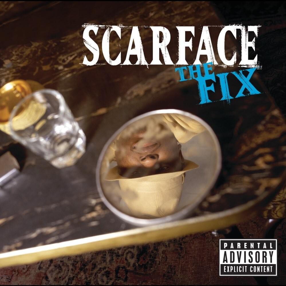 Cover image for The Fix
