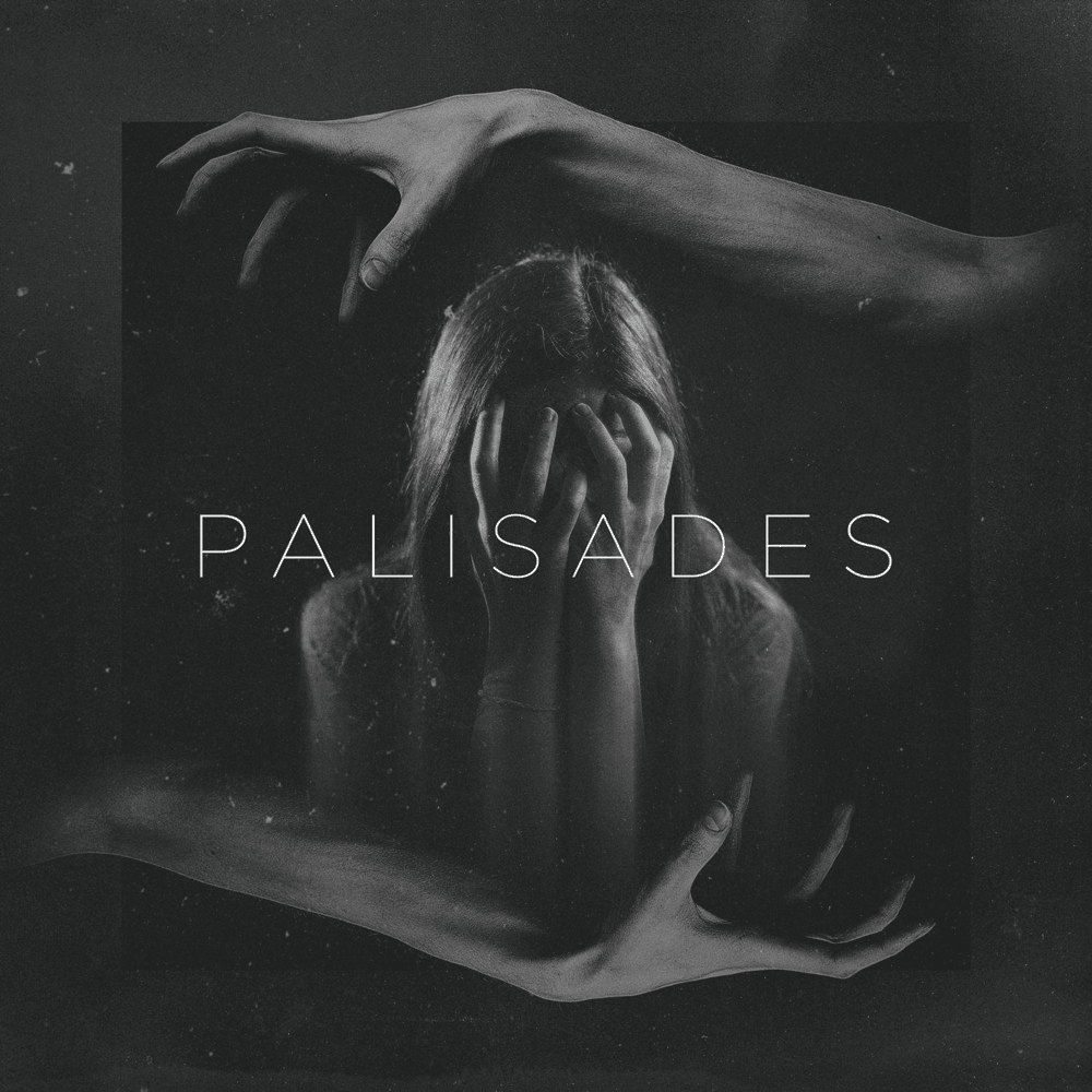 Let Down by Palisades