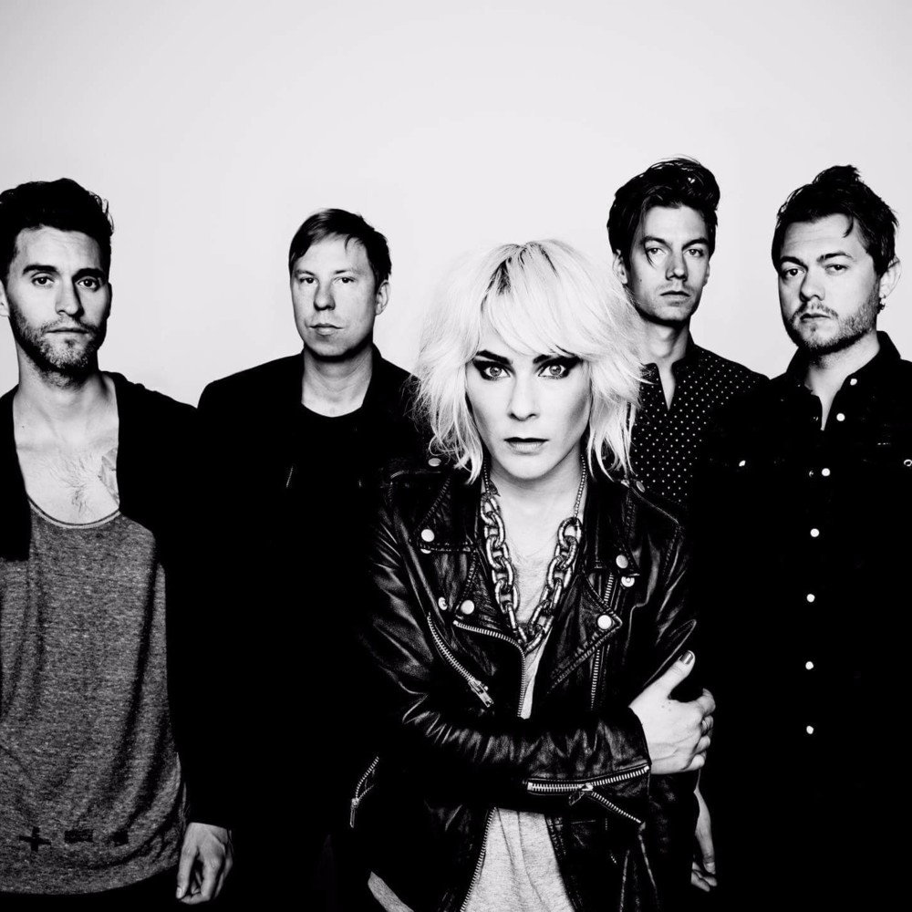 Cover image for The Sounds