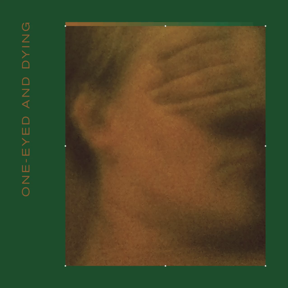 Album cover art for "One-Eyed And Dying" by VETO