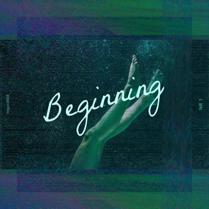 Cover image for Beginning