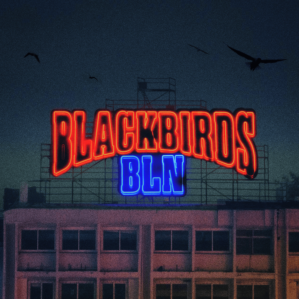 Album cover art for "Blackbirds BLN" by Peter Fox