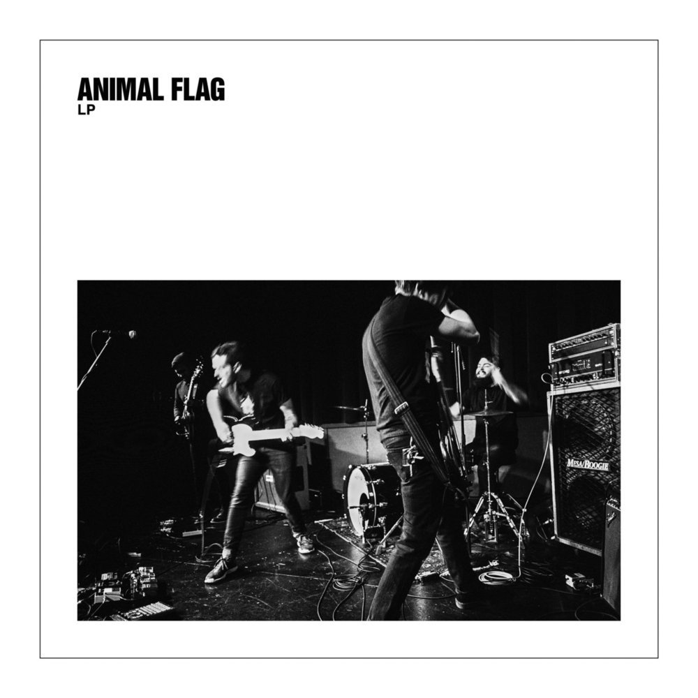 Cathedrals by Animal Flag