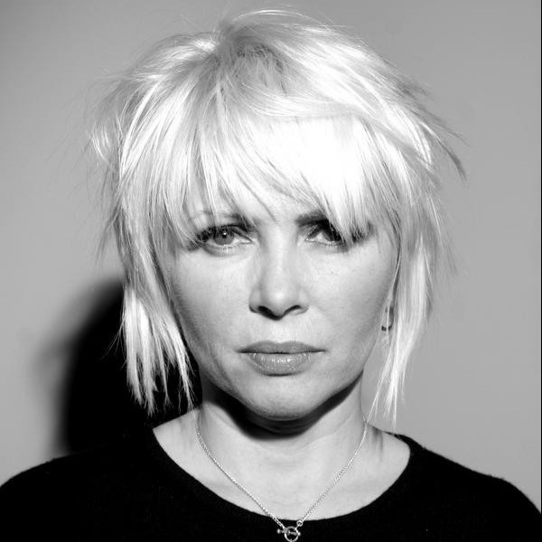 Cover image for Toni Halliday