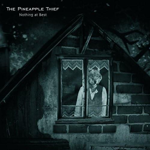Album cover art for "Open Water" by The Pineapple Thief