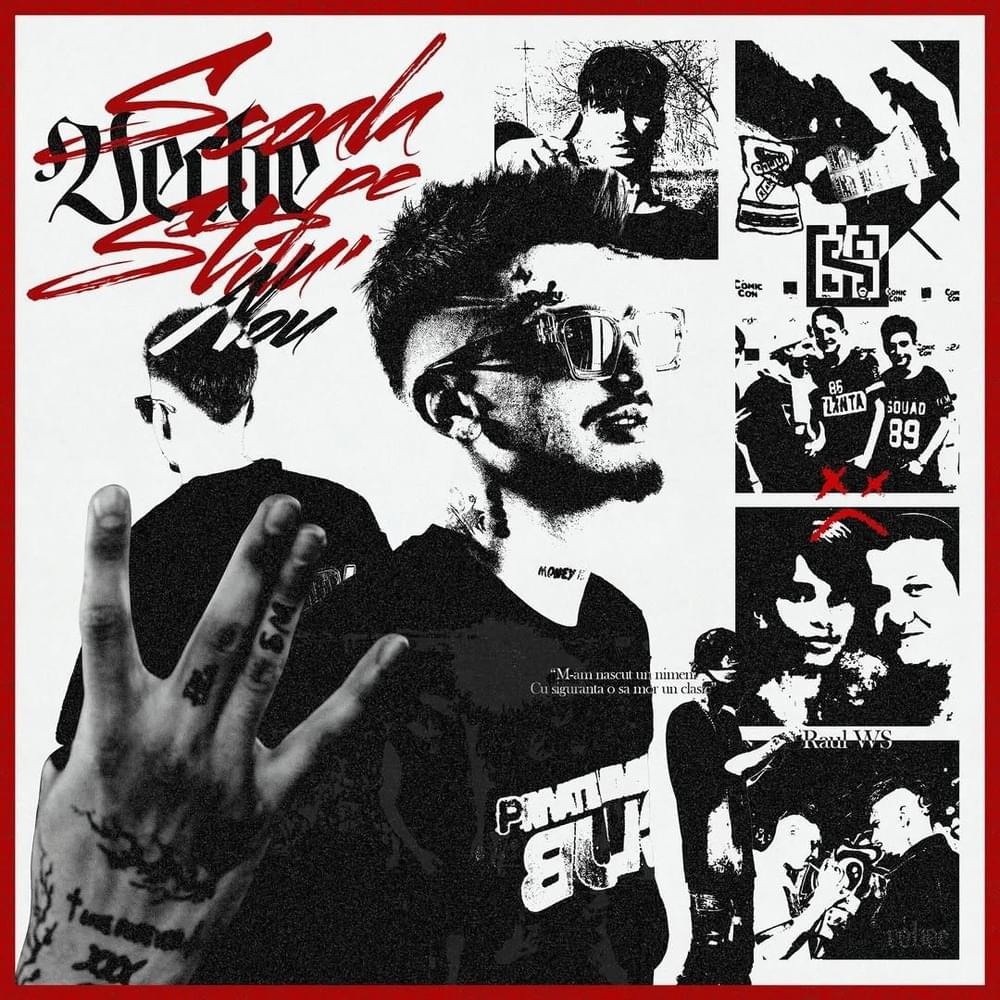 Cover image for ȘCOALA VECHE PE STILU’ NOU