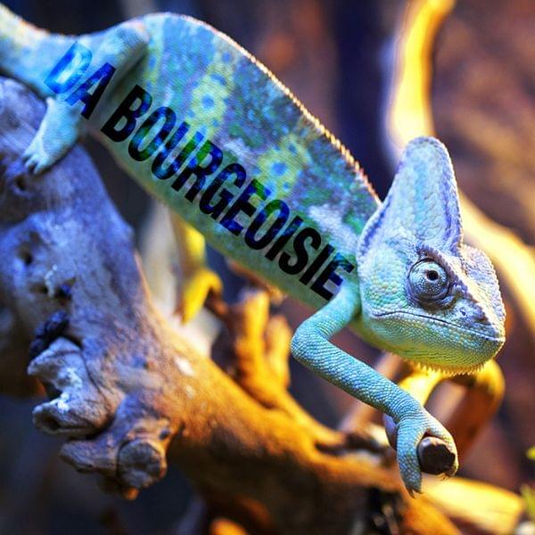 Album cover art for "Da Bourgeoisie" by Prince