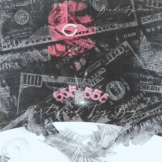 Cover image for Certified Ice
