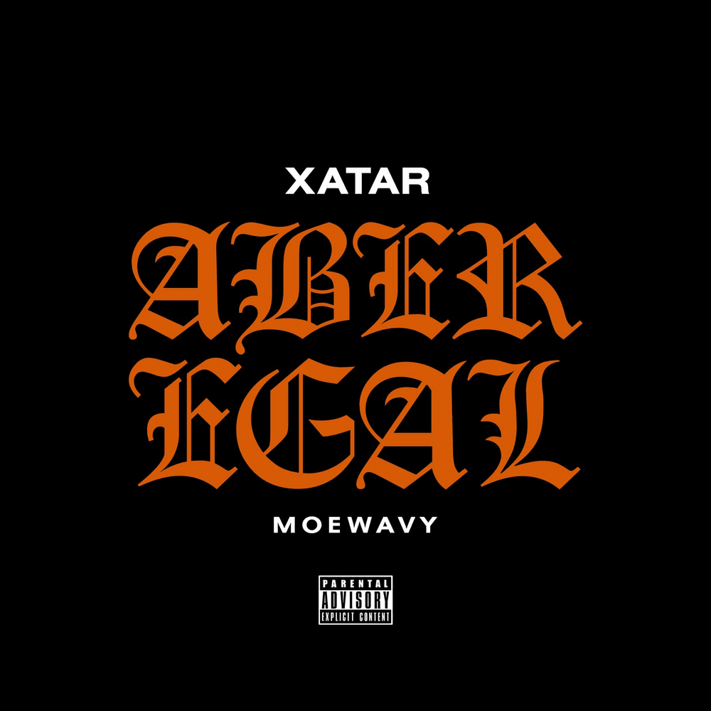 Album cover art for "Aber Egal" by XATAR