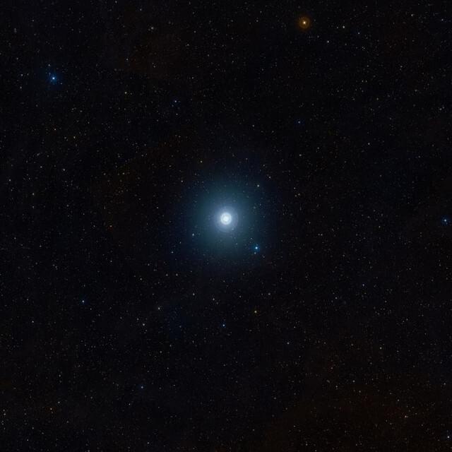 Cover image for The North Star