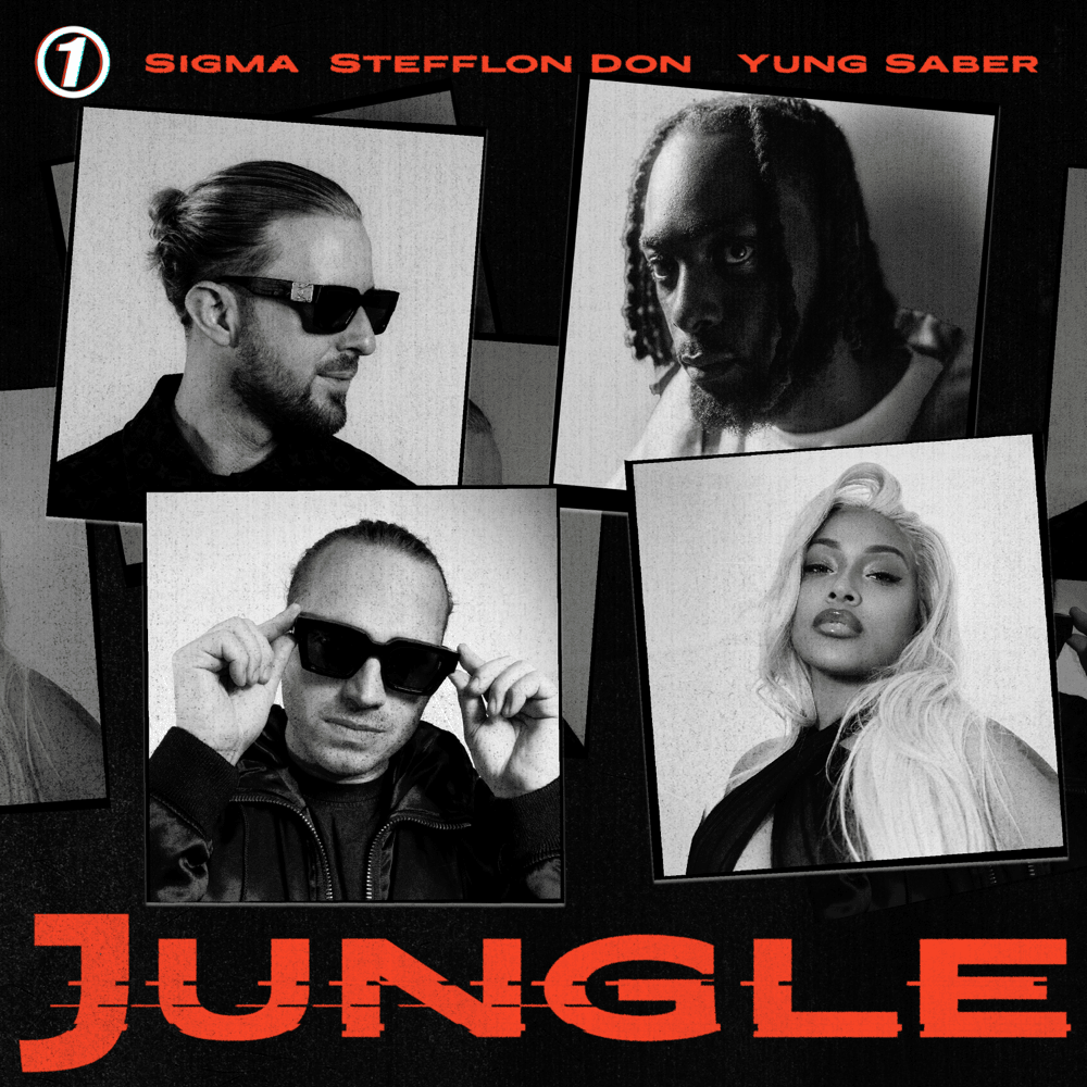 Album cover art for "JUNGLE" by Sigma
