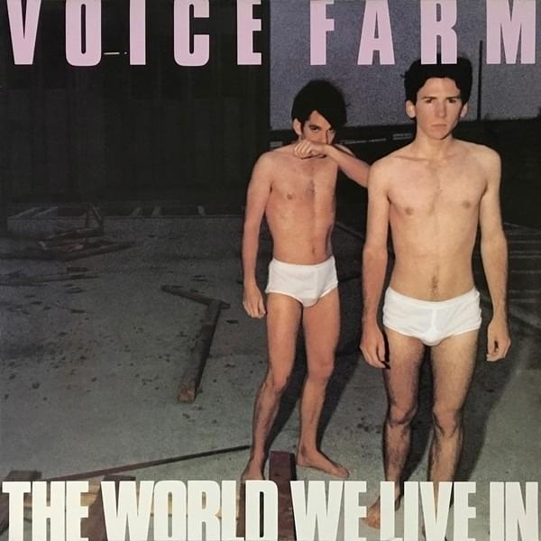Voyeur by Voice Farm