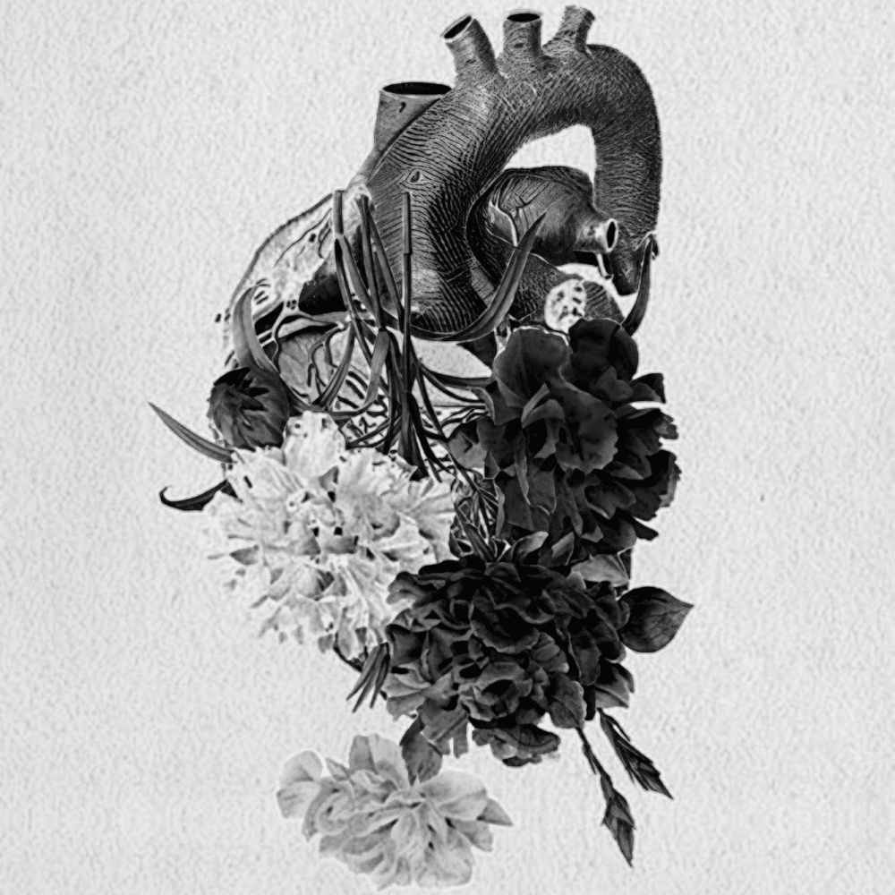 Album cover art for "All My Lovin’" by blackbear