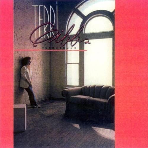 I Can See Heaven by Terri Gibbs