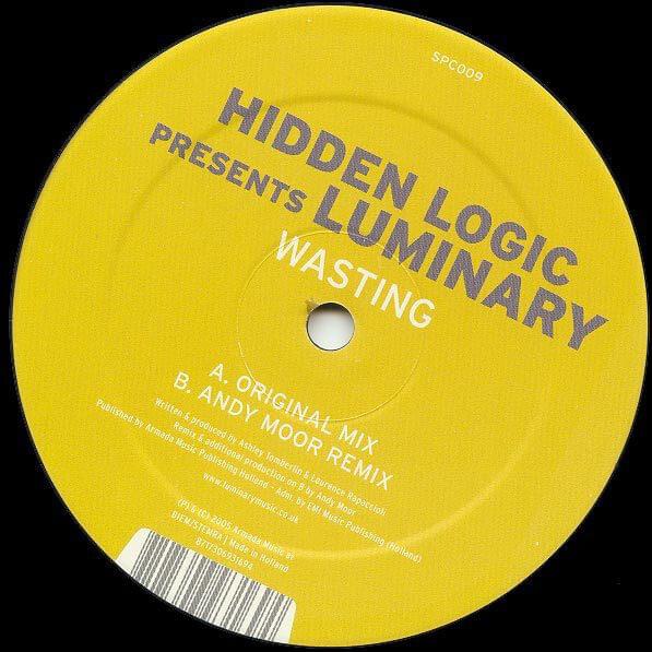 Wasting (Andy Moor Remix) by Luminary
