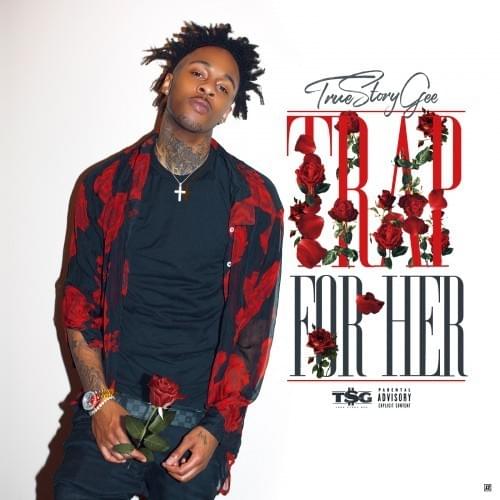 Cover image for Trap For Her