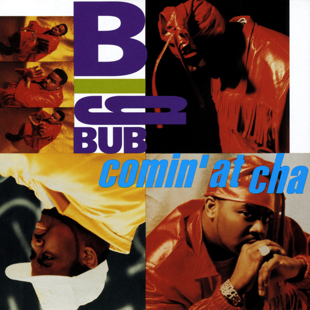 Hittin’ Skinz by Big Bub