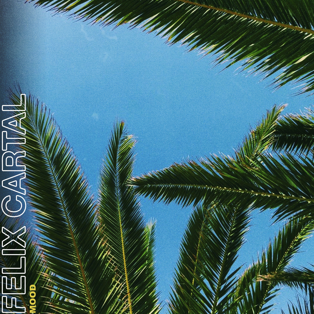 Mood by Felix Cartal