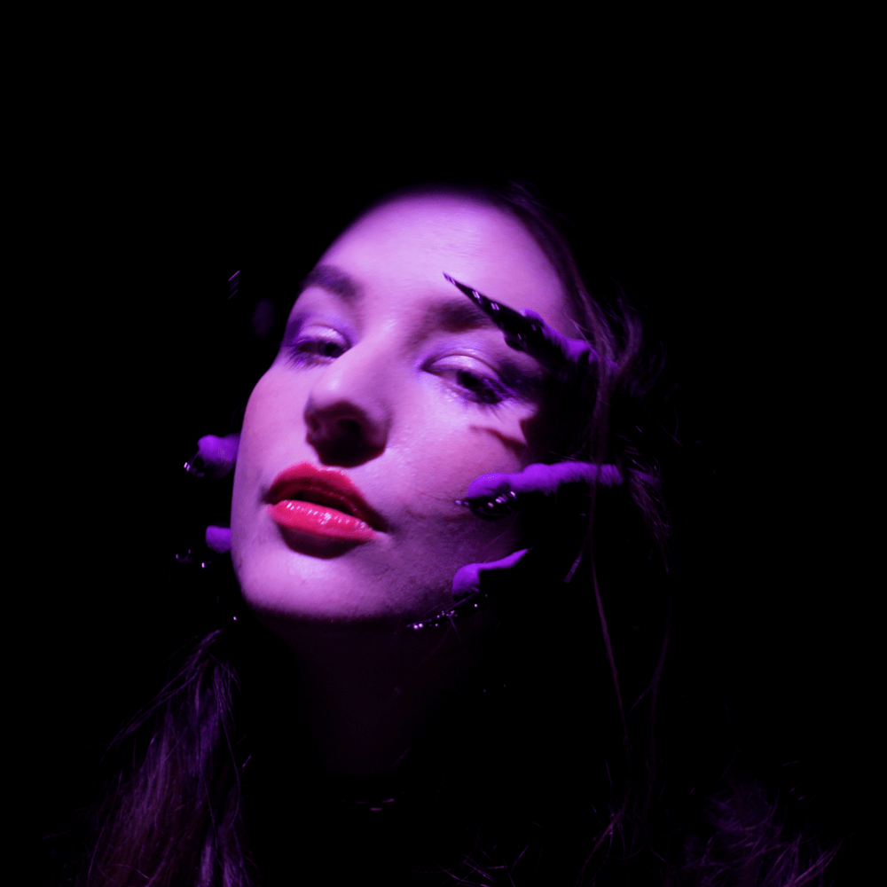 Album cover art for "Evidence" by Mia Wray