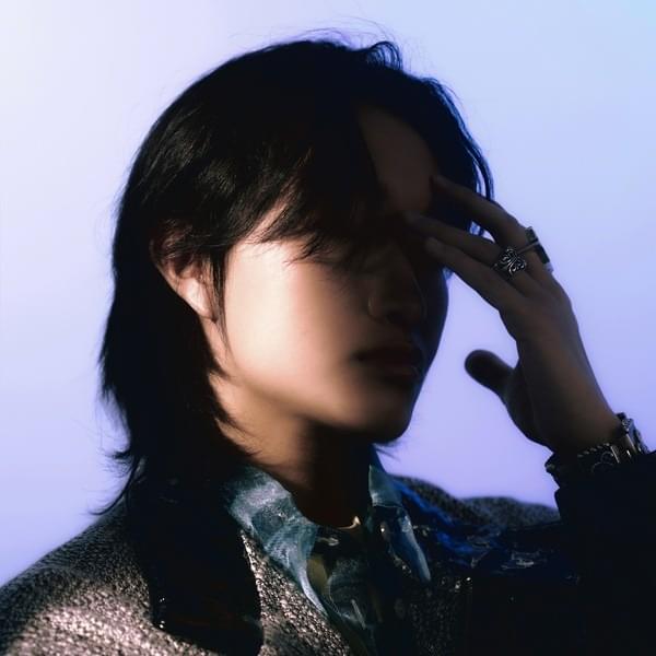 Cover image for VVON (본)