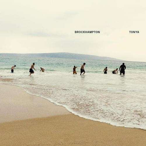 Album cover art for "TONYA" by BROCKHAMPTON