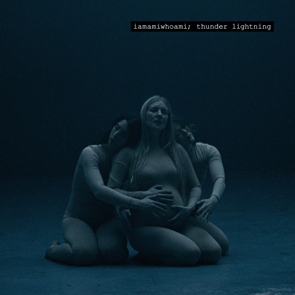 Album cover art for "​thunder lightning" by iamamiwhoami