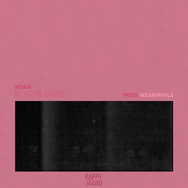 Pochi Mesi by Noam